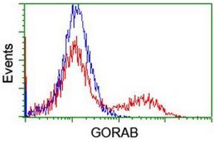 Image no. 1 for anti-Golgin, RAB6-Interacting (GORAB) (AA 35-394) antibody (ABIN1491440) (GORAB Antikörper  (AA 35-394))