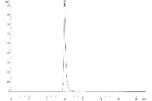 Size-exclusion chromatography-High Pressure Liquid Chromatography (SEC-HPLC) image for Adiponectin (ADIPOQ) (AA 18-247) protein (Fc Tag) (ABIN7273800)