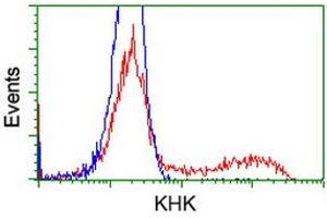 HEK293T cells transfected with either RC202424 overexpress plasmid (Red) or empty vector control plasmid (Blue) were immunostained by anti-KHK antibody (ABIN2453198), and then analyzed by flow cytometry. (Ketohexokinase Antikörper)