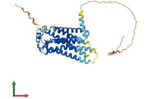 Protein Structure (PS) image for Sphingosine-1-Phosphate Receptor 3 (S1PR3) (AA 1-378) protein (His tag) (ABIN7545921)