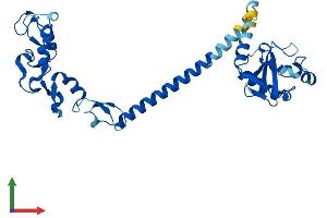 Protein Structure (PS) image for Ring Finger Protein 41 (RNF41) (AA 1-317) protein (His tag) (ABIN7555244)