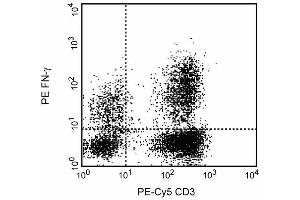 Image no. 1 for anti-Interferon gamma (IFNG) antibody (ABIN967468)