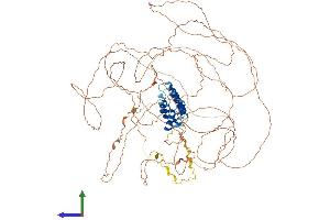AlphaFold protein structure predicition of Human Recombinant PROSER1 Protein, UniprotID Q86XN7 (PROSER1 Protein (AA 1-944) (His tag))