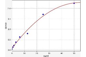 CD72 ELISA Kit