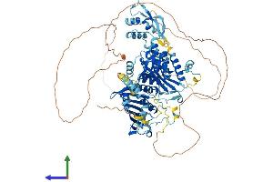 Protein Structure (PS) image for PMS2 Postmeiotic Segregation Increased 2 (S. Cerevisiae) (PMS2) (AA 1-862) protein (His tag) (ABIN7555031)
