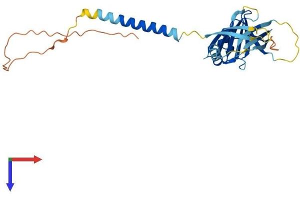 ITM2B Protein (AA 1-266) (His tag)