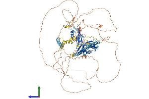 AlphaFold protein structure predicition of Mouse Recombinant Akap17b Protein, UniprotID A2A3V1