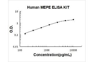 Matrix Extracellular phosphoglycoprotein (MEPE) ELISA Kit