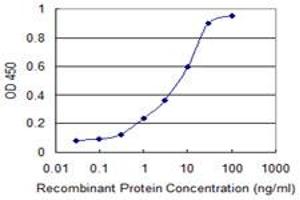 Detection limit for recombinant GST tagged TNF is 0. (TNF alpha Antikörper  (AA 1-233))
