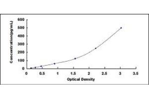 Typical standard curve (IL-25 ELISA Kit)