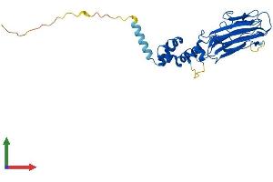 Protein Structure (PS) image for F-Box Protein 2 (FBXO2) (AA 1-296) protein (His tag) (ABIN7547671)