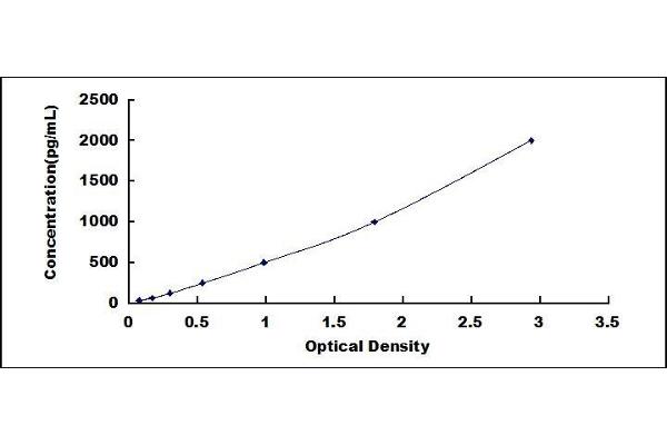 CTGF ELISA Kit