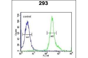 TSN3 Antibody (Center) (ABIN651749 and ABIN2840386) flow cytometric analysis of 293 cells (right histogram) comred to a negative control cell (left histogram). (Tetraspanin 3 Antikörper  (AA 90-117))