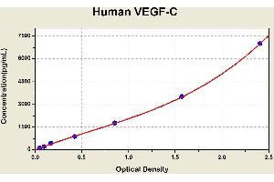 Vascular Endothelial Growth Factor C (VEGFC) ELISA Kit