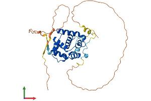 AlphaFold protein structure predicition of Human Recombinant SPDYA Protein, UniprotID Q5MJ70