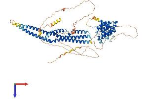 SH3BP1 Protein (AA 1-701) (His tag)