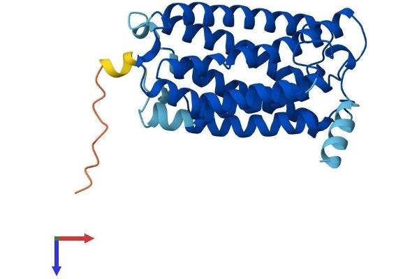 ELOVL1 Protein (AA 1-279) (His tag)