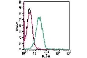 Cell surface detection of GPR174 in live intact human Jurkat T-cell leukemia cells: (black line) Cells. (GPR174 Antikörper  (Extracellular))
