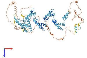 AlphaFold protein structure predicition of Human Recombinant ZNF251 Protein, UniprotID Q9BRH9