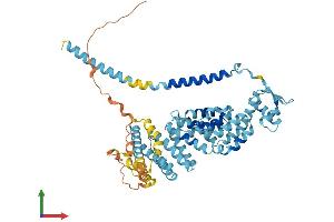AlphaFold protein structure predicition of Mouse Recombinant Psmd3 Protein, UniprotID P14685