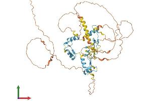 Protein Structure (PS) image for IKAROS Family Zinc Finger 1 (Ikaros) (IKZF1) (AA 1-517) protein (His tag) (ABIN7563588)