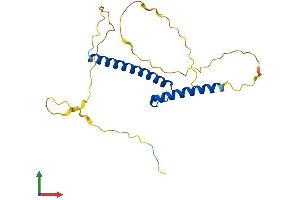 Protein Structure (PS) image for Neurogenin 3 (NEUROG3) (AA 1-214) protein (His tag) (ABIN7556730)