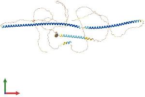 Protein Structure (PS) image for Leber Congenital Amaurosis 5 (LCA5) (AA 1-697) protein (His tag) (ABIN7549004)