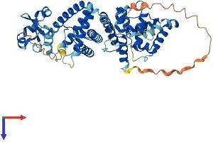PRIM2 Protein (AA 1-505) (His tag)