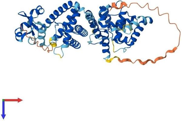 PRIM2 Protein (AA 1-505) (His tag)