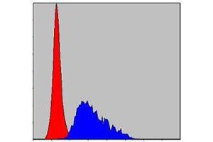 Flow cytometric analysis of HepG2 cells using FGG mouse mAb (blue) and negative control (red). (FGG Antikörper)