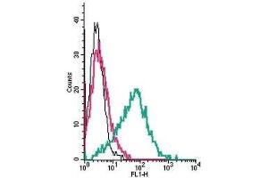 Cell surface detection of GPR39 by indirect flow cytometry in live intact human MEG-01 megakaryocytic leukemia cells: (black line) Cells. (GPR39 Antikörper  (Extracellular))