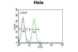 Flow Cytometry (FACS) image for anti-Ewing Sarcoma Breakpoint Region 1 (EWSR1) antibody (ABIN3003929) (EWSR1 Antikörper)