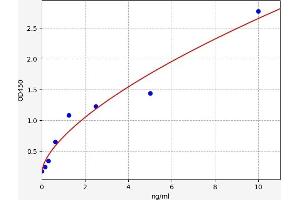 Glutamate Receptor 1 ELISA Kit