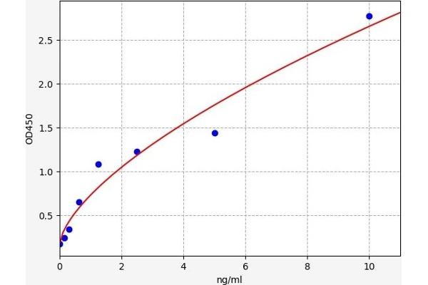 Glutamate Receptor 1 ELISA Kit