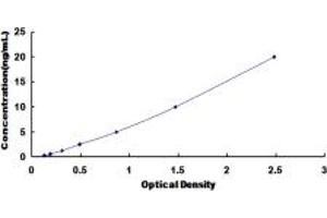 Typical standard curve (DNAH11 ELISA Kit)