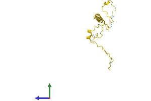 AlphaFold protein structure predicition of Mouse Recombinant Tnp2 Protein, UniprotID P11378