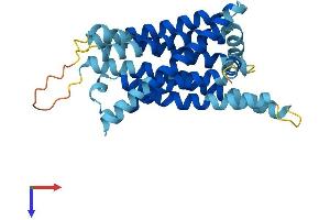 AlphaFold protein structure predicition of Human Recombinant TAS2R4 Protein, UniprotID Q9NYW5