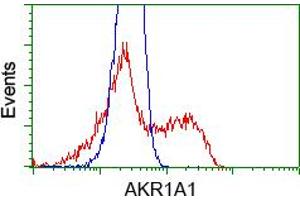 Image no. 7 for anti-Aldo-Keto Reductase Family 1, Member A1 (Aldehyde Reductase) (AKR1A1) antibody (ABIN1496539) (AKR1A1 Antikörper)