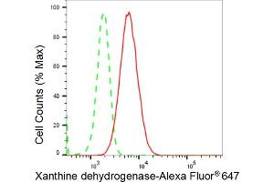 Flow cytometric analysis of Xanthine dehydrogenase expression in HepG2 cells using Xanthine dehydrogenase antibody (ABIN7800881), 1:2,000). (Rekombinanter XDH Antikörper)