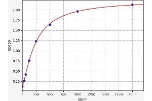 Myostatin (MSTN) ELISA Kit