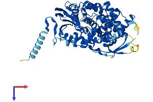 CYP7A1 Protein (AA 1-503) (His tag)