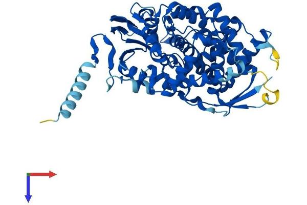 CYP7A1 Protein (AA 1-503) (His tag)