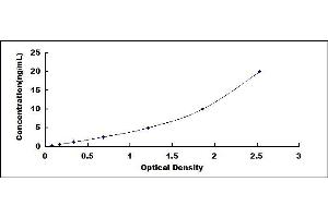 Typical standard curve (ANG ELISA Kit)