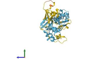 Protein Structure (PS) image for Nitrogen Permease Regulator-Like 2 (S. Cerevisiae) (NPRL2) (AA 1-380) protein (His tag) (ABIN7549869)