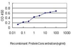 Detection limit for recombinant GST tagged ERBB2IP is approximately 0. (ERBB2IP Antikörper  (AA 1272-1371))