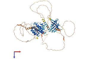 MED25 Protein (AA 1-745) (His tag)