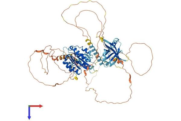 MED25 Protein (AA 1-745) (His tag)
