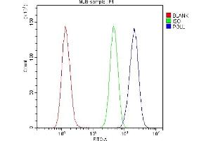Flow Cytometry analysis of U20S cells using anti-DNA Polymerase lambda antibody (ABIN5692843).