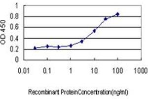 Detection limit for recombinant GST tagged SNX12 is approximately 1ng/ml as a capture antibody.