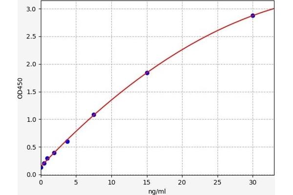 Adenosine A2a Receptor ELISA Kit